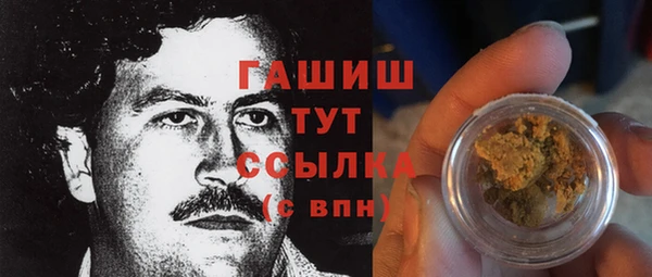 индика Покачи