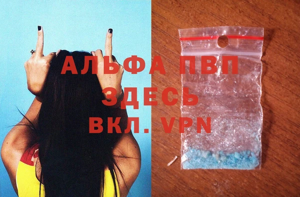 индика Покачи