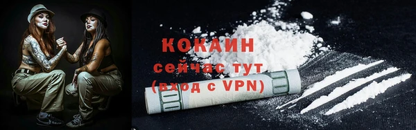 индика Покачи