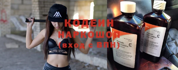 сатива Губаха