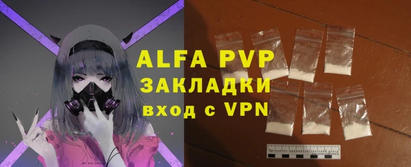 сатива Губаха