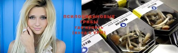 a pvp Дедовск