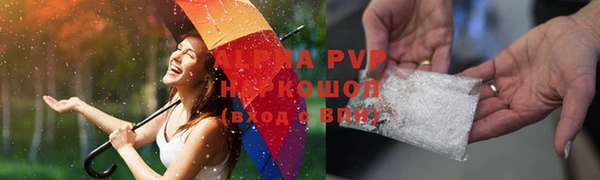 сатива Губаха