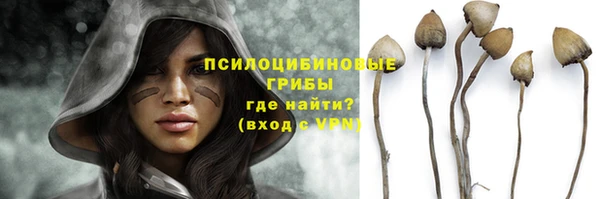 индика Покачи
