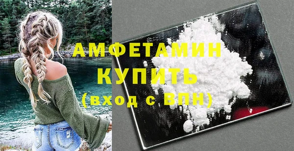 индика Покачи