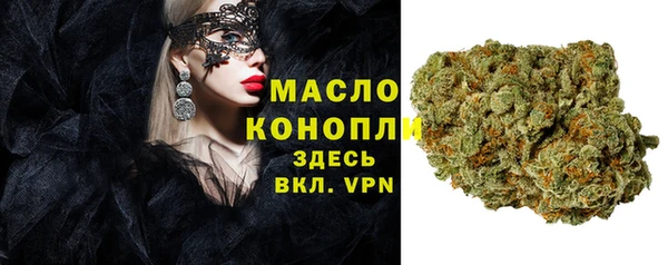 индика Покачи