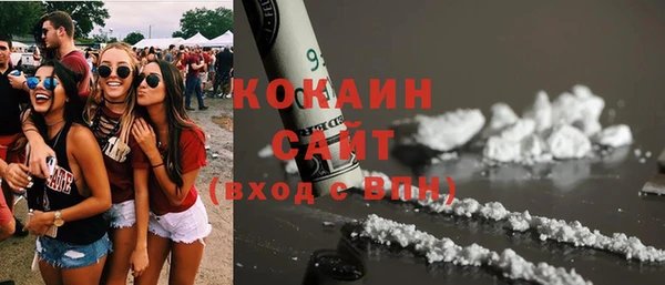 сатива Губаха