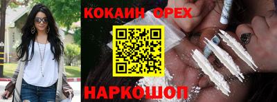 соль ск Аргун