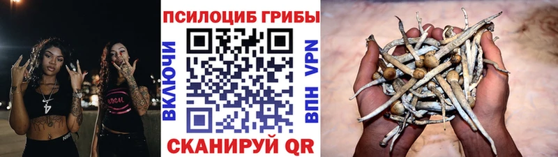 Псилоцибиновые грибы GOLDEN TEACHER даркнет сайт Белебей