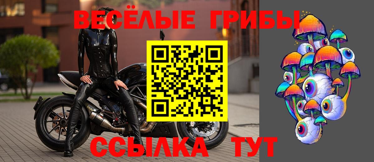 Галлюциногенные грибы прущие грибы  Белебей 