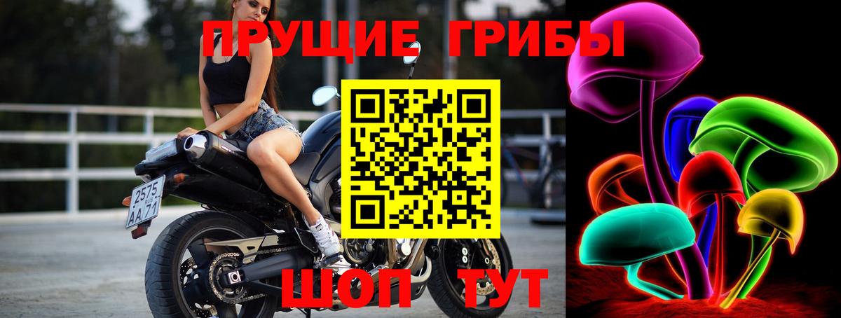 Галлюциногенные грибы прущие грибы  Галлюциногенные грибы прущие грибы  Вход с VPN  Белебей 